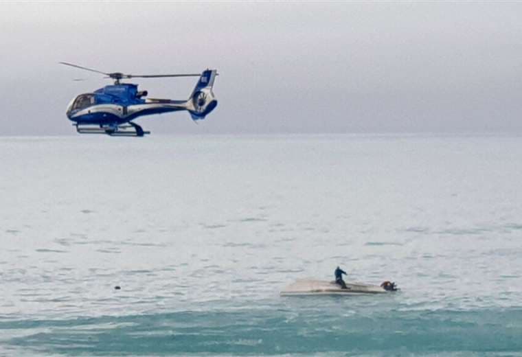 Cinco personas murieron luego de que bote chocara con ballena