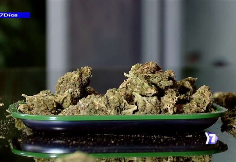 Marihuana recreativa: ¿es hora de legalizar?