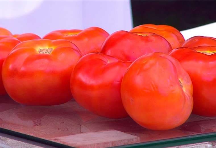 Recetas con tomate que van más allá de las ensaladas 