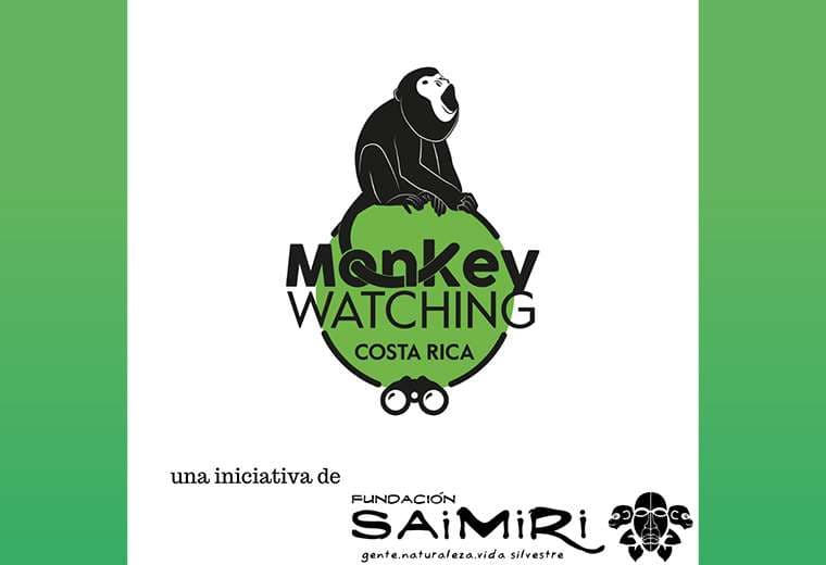 ONG lanza sello ‘Monkey Watching CR’ en pro de la conservación de los monos