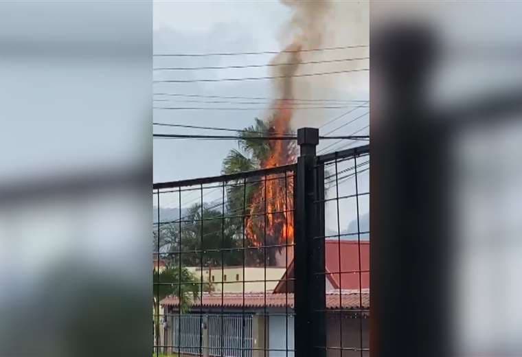 Video: Árbol se incendia tras ser impactado por rayo en Palmares