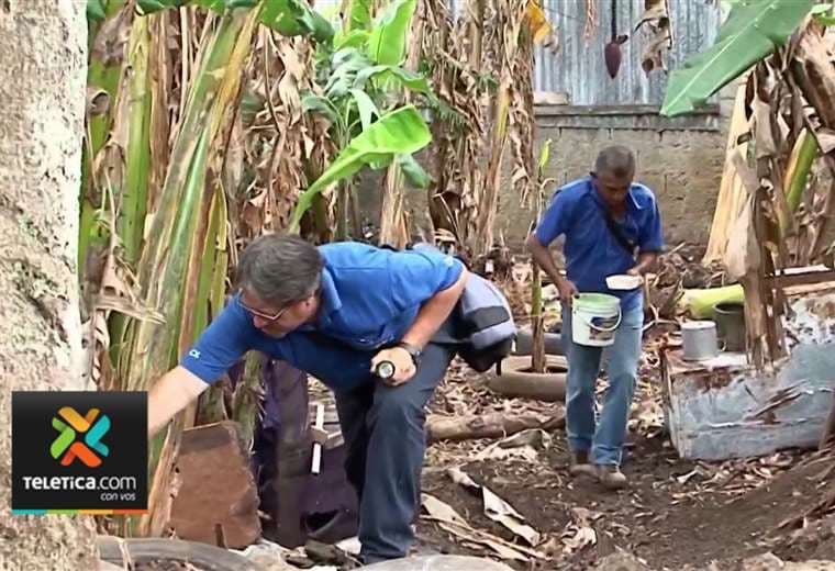 Salud visita 3 mil casas en Turrialba para eliminar criaderos de dengue