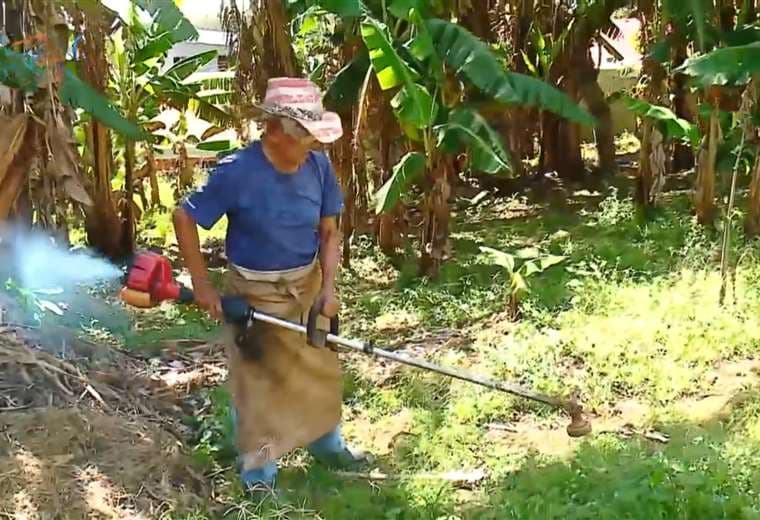 Tiene 102 años, pero sigue cortando maleza y sembrando su finca