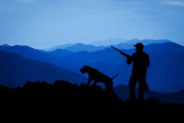 Un perro mata de un tiro a un cazador en EE. UU.