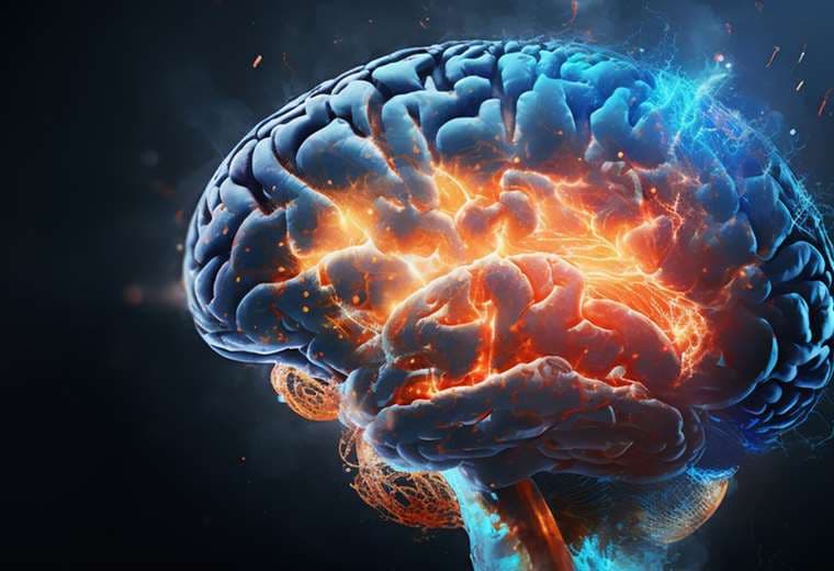Personas con "superneuronas": ¿Por qué hay cerebros que desafían el paso del tiempo?