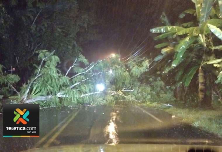Lluvias y fuertes vientos provocaron inundaciones y caída de árboles en Quepos