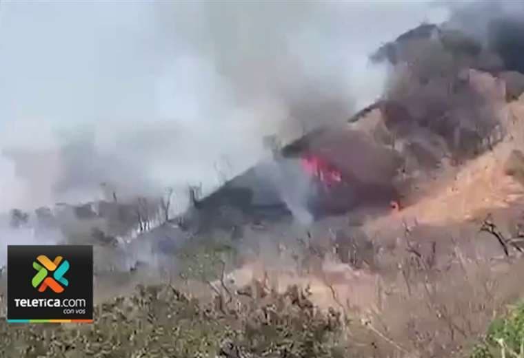 Incendio forestal consume 245 hectáreas en Turrubares