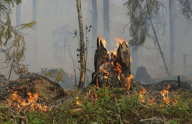 Incendio incontrolable devora unas 2.000 hectáreas de bosques en Cuba