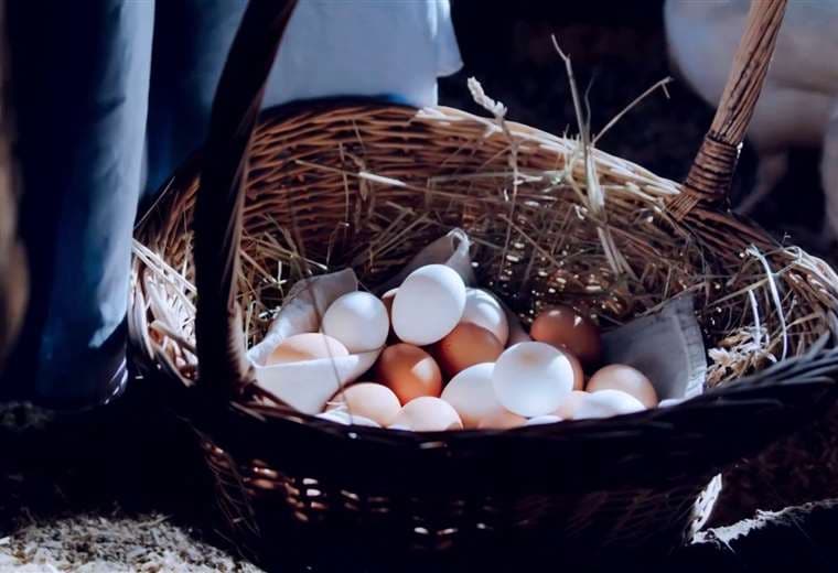 Mitos y verdades sobre la manipulación del huevo 