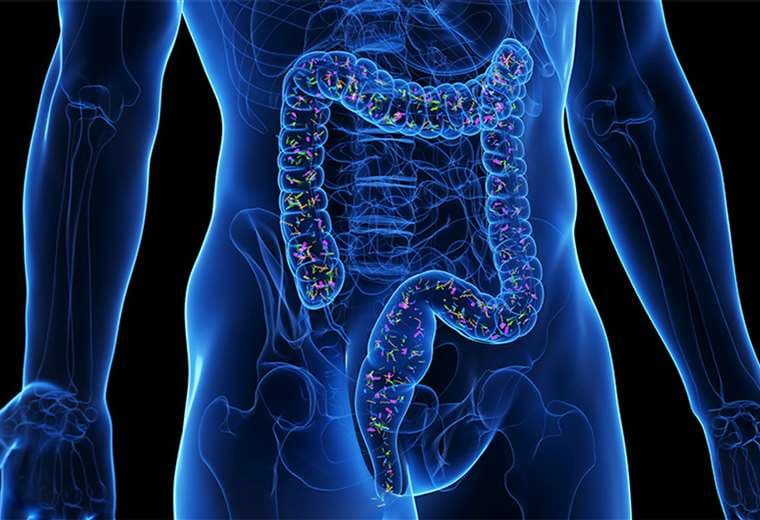 Lo que ocurre cuando en el intestino hay un aumento anormal de bacterias