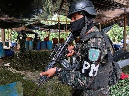 Honduras localiza 88 hectáreas de coca y un laboratorio de cocaína