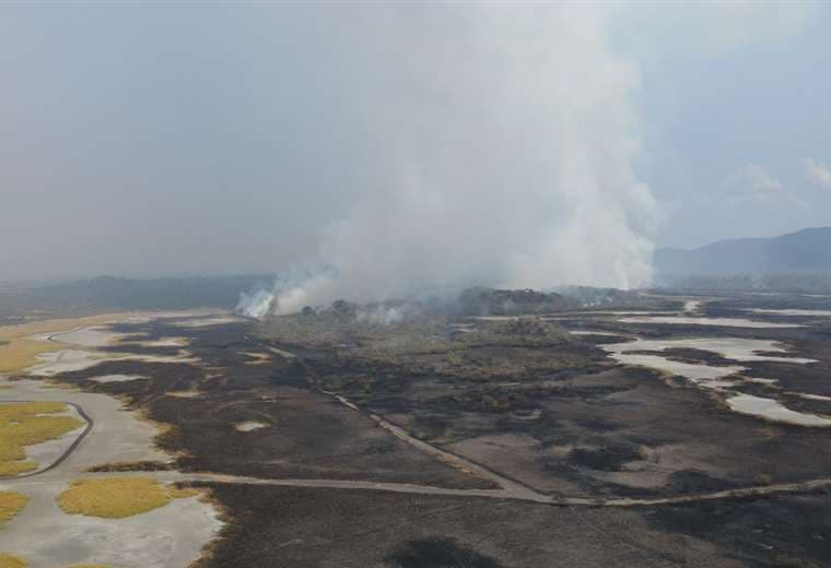Piden elevar alerta por incendio forestal que ya devastó más de 2 mil hectáreas en Palo Verde