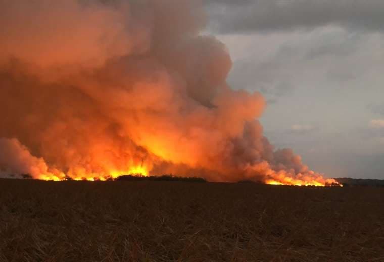 Incendio forestal en Parque Nacional Palo Verde ya consumió más de mil hectáreas