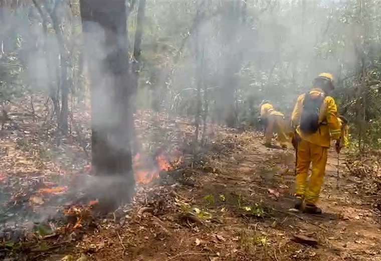 Incendio forestal en Isla Chira ya consumió más de 35 hectáreas