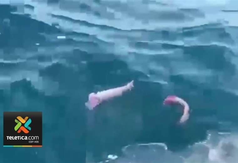 Video muestra decenas de peces muertos flotando en las aguas del Tárcoles