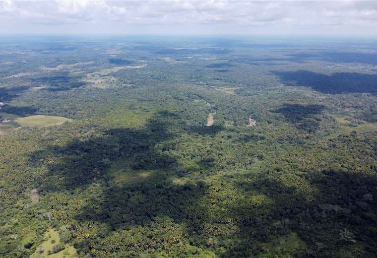 Más de 100 militares buscan niños indígenas perdidos en Amazonía colombiana