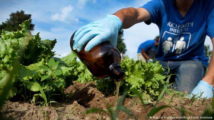 Cómo reciclar excrementos para cultivar alimentos de manera sostenible