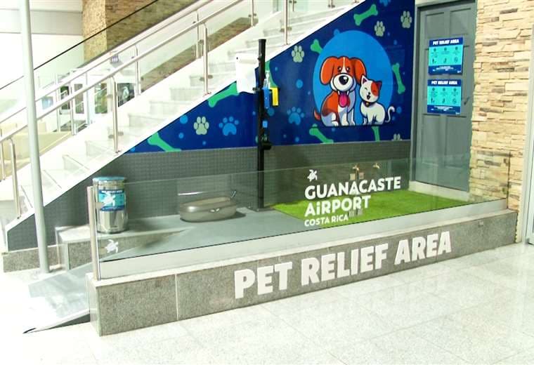 Abren áreas 'petfriendly' en aeropuertos para disminuir estrés en mascotas que viajan