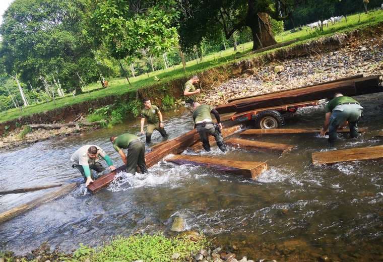 Sacan madera robada de Reserva Forestal Golfo Dulce por río para no ser detectada
