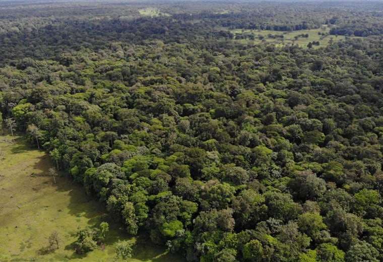 Japón establece alianza con Costa Rica para valoración de bosque secundario
