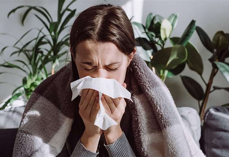 Influenza y gripe común: Diferencias clave en enfermedades respiratorias