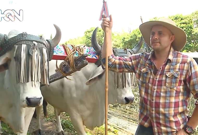 Para este agricultor, los bueyes son la manera de honrar su legado