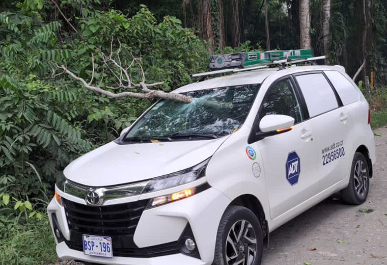 Video: Carros y casas sufren daños tras caída de rótulos y árboles en Limón