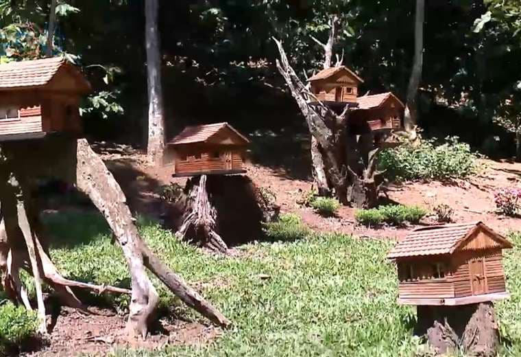 Pueblo Zumbador: Un Refugio para las Abejas en Costa Rica