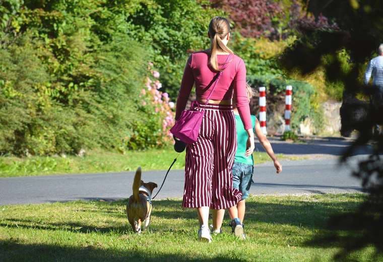El poder del paseo: Caminar mejora la calidad de vida de su perro