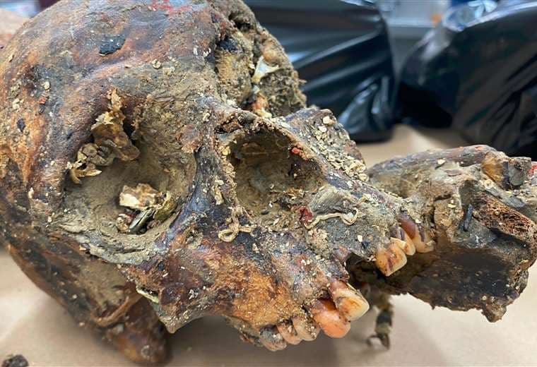 Arqueólogos ticos investigan restos óseos humanos que datan a 500 a.C.