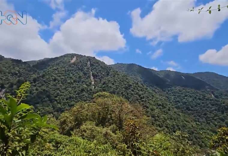 Parque Nacional Tapantí habilita dos senderos para turistas
