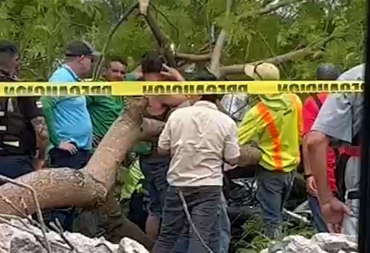 Motociclista se salva de morir tras caerle árbol encima en Guápiles