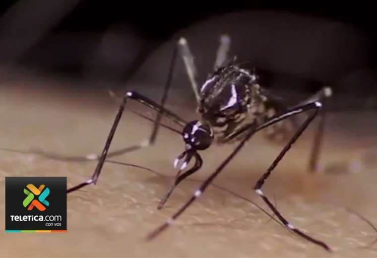 Aumentaron los casos de dengue en las últimas dos semanas epidemiológicas