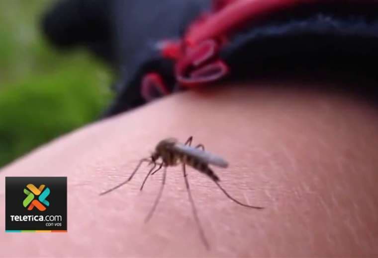 Llegada masiva de vacacionistas a zonas con casos de dengue preocupa a autoridades