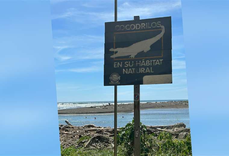 Dos ríos en Guanacaste identificados como peligrosos por presencia de cocodrilos