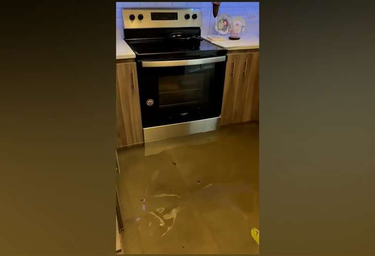 Cortesía de Rodolfo Dávila