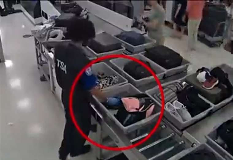 Los videos que revelaron robos a pasajeros y motivaron arrestos en aeropuerto de Miami