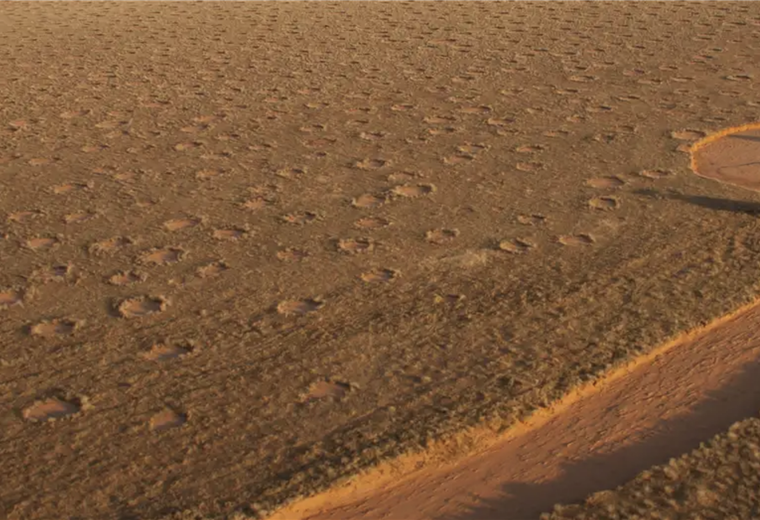 Detectan enigmáticos "círculos de hadas" en cientos de zonas áridas del planeta