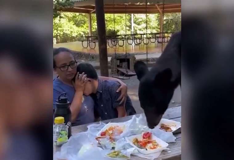 Al mejor estilo de Yogui: oso devora almuerzo de familia en México