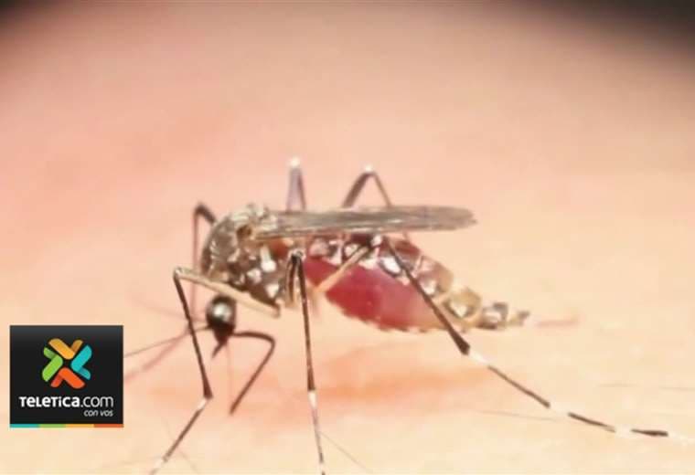 Costa Rica cerca de superar casos de dengue registrados en todo el 2022