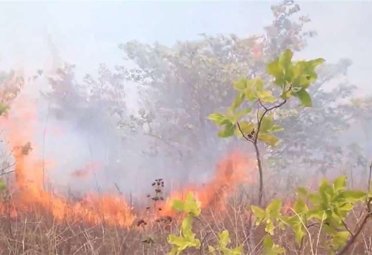 Cuerpo de Bomberos controló el incendio forestal en Santa Cruz