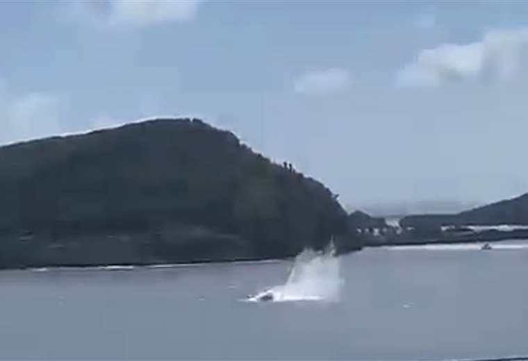 Video cortesía Jade Dewa