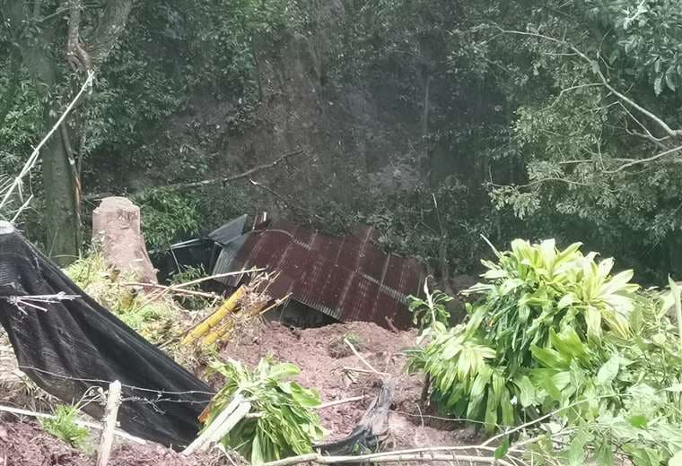 Video: “¡Mi casita no!”, grita mujer mientras su casa cae a río en Acosta