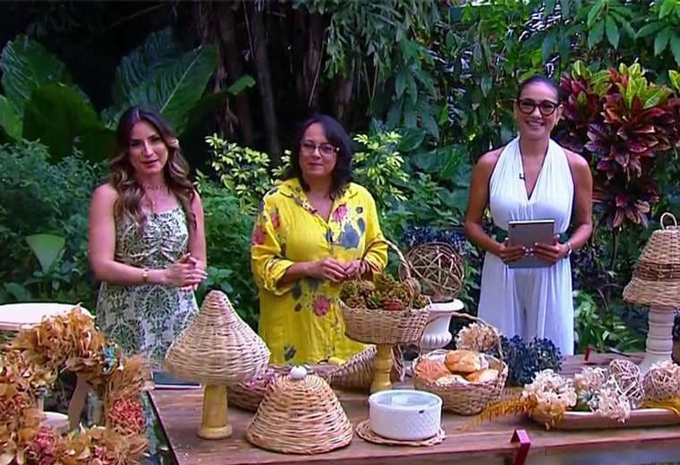 Tendencia boho: Cómo incorporar el bejuco en la decoración de su casa ...