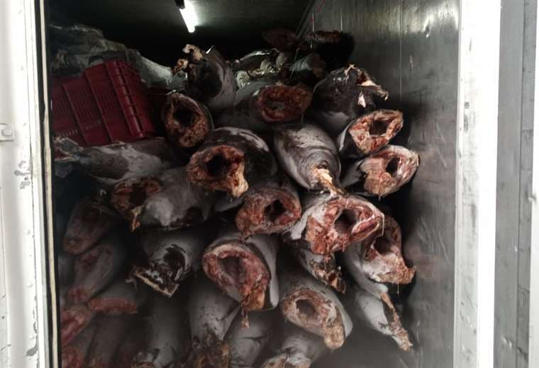 Organismo de Investigación Judicial | Cortesía