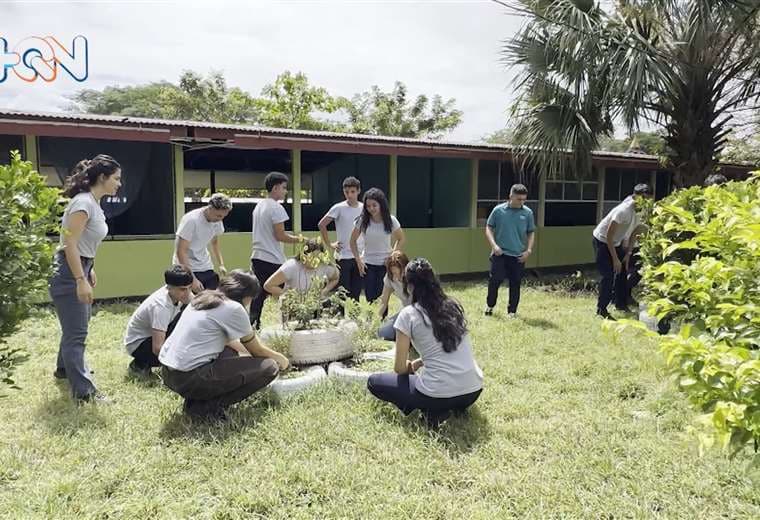 Club Rhizophora: Jóvenes transformando Colorado de Abangares