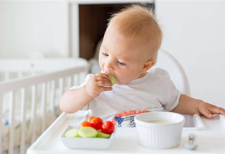 ¿Cuándo comenzar la alimentación complementaria del bebé?