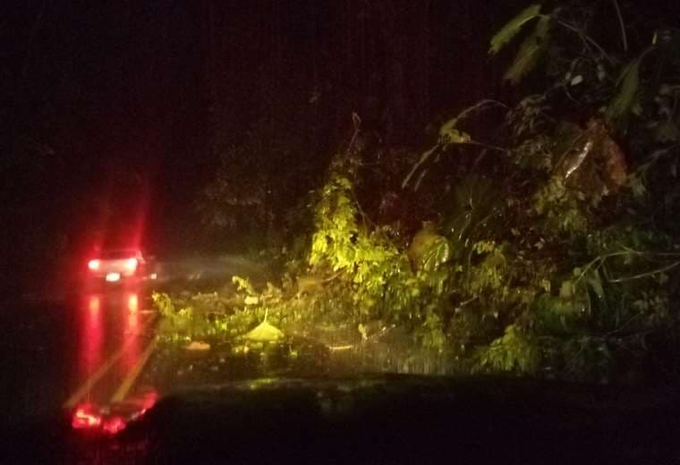 Fuerte lluvia y viento con caída de árboles obligan a cierre de Ruta 32