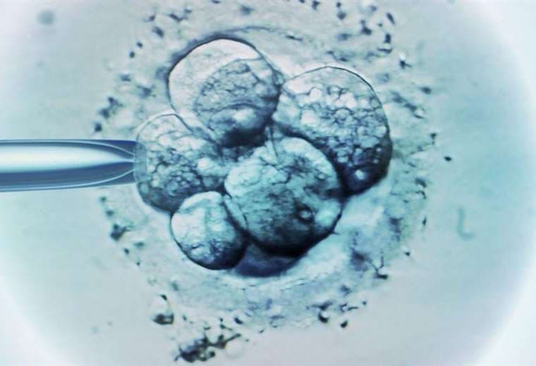 ¿Qué implicaciones tiene la decisión en EE. UU. que declara niños a embriones congelados?