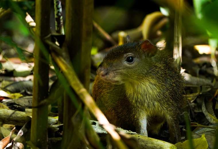 Foto Juan Manuel Quirós